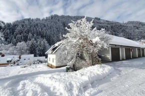 Murzeit Apartman, Murau